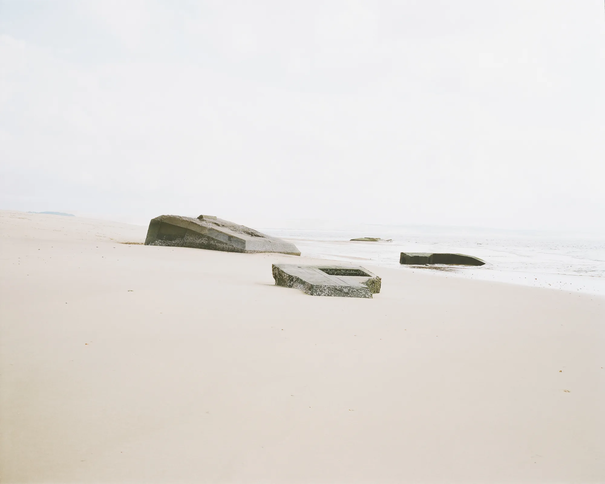 Reappearance - Cap Ferret