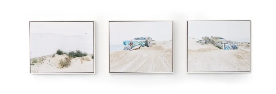 Disappearance Framed Images