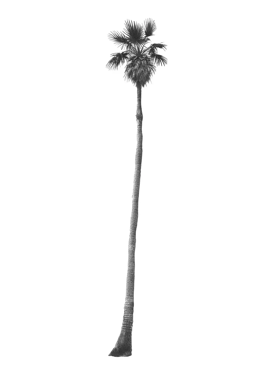 Generated Palm Tree 10