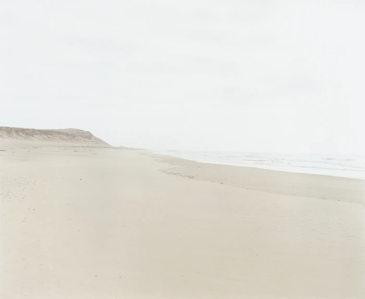 Taylor & Nova - La Pointe - Taylor