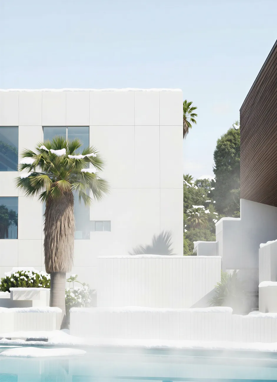 404 | Palm at Pool 01